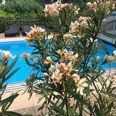 Haus Marika シオーフォク