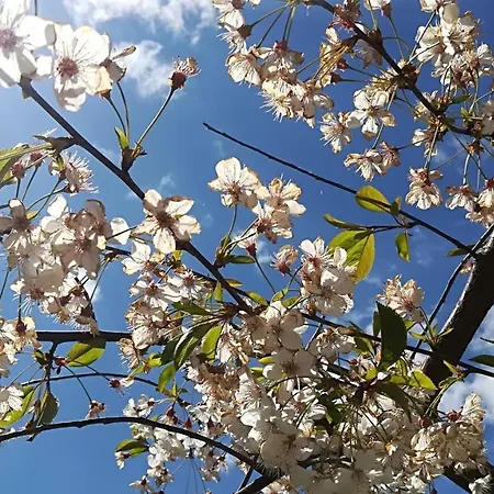 ゲストハウス Haus Marika 4*