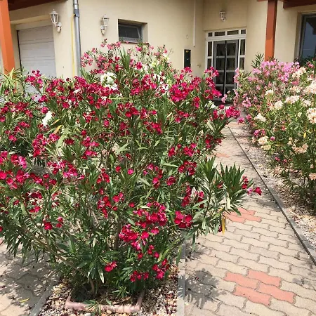 Haus Marika 4* שיופוק