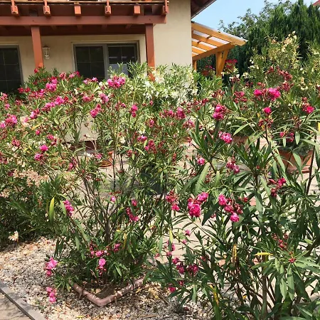 Haus Marika ゲストハウス シオーフォク