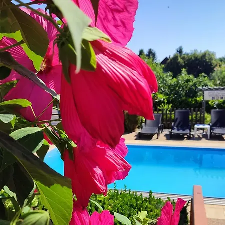Haus Marika Guest house Siofok