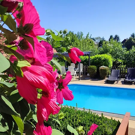 Haus Marika 4* シオーフォク