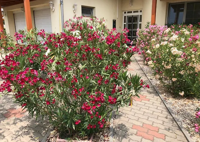 Haus Marika 4* Siófok